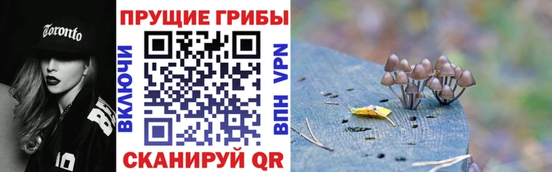 купить   Красноуральск  Псилоцибиновые грибы мухоморы 